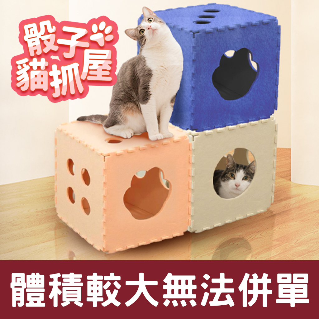 【小編私心精選】骰子貓抓屋